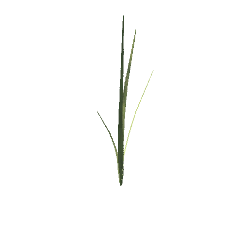 long_grass_04