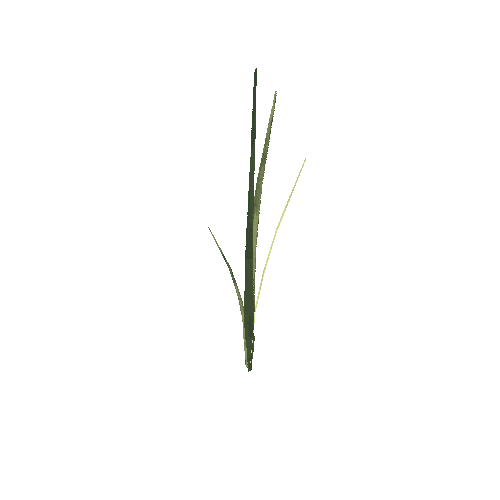 longgrass_01_boned