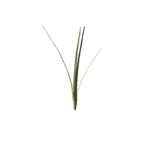 longgrass_02_boned