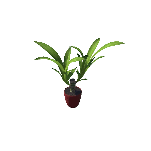 Plant09