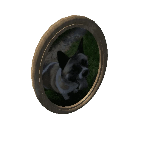 Picture_Frame_Dog