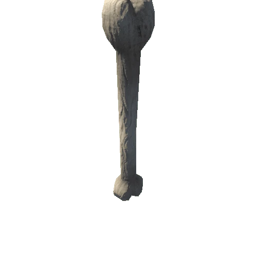 Bone