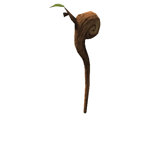 WoodenStaff