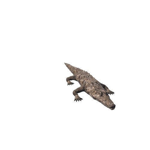 CrocodileAtlas