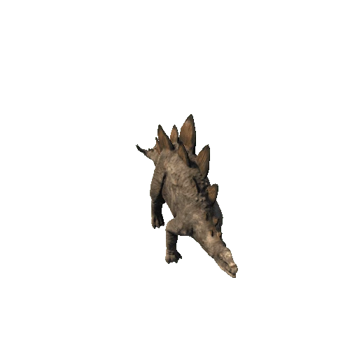 Stegosaurus_FV_RM