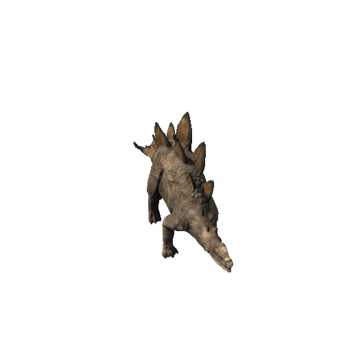 Stegosaurus_FV_RM_SHP