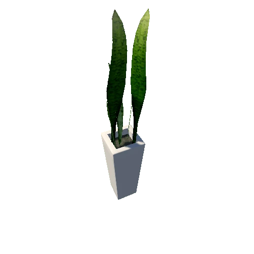 plant2