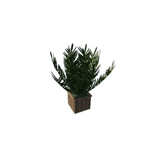 plant3