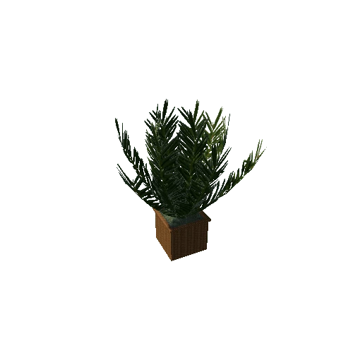 plant4