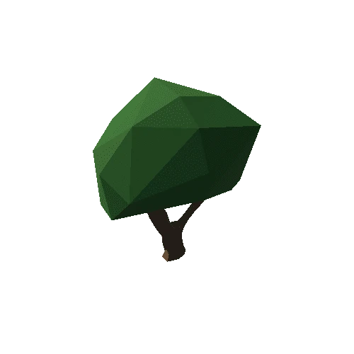 A_Tree_015