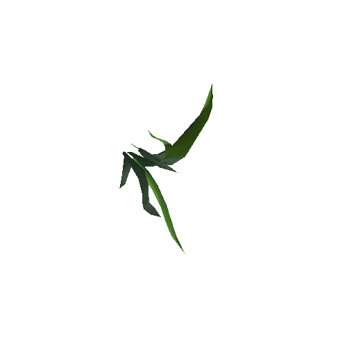 herb_01