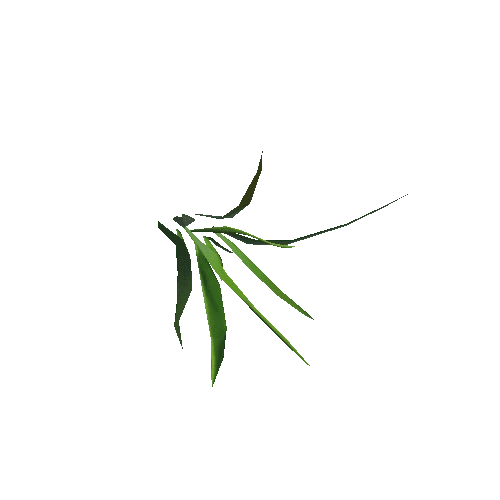 herb_02