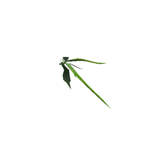 herb_03