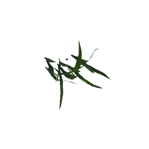 herb_04