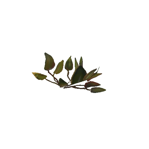 leaf_02_01