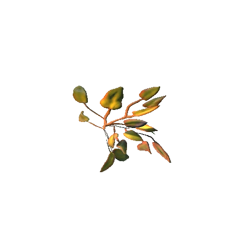 leaf_02_03