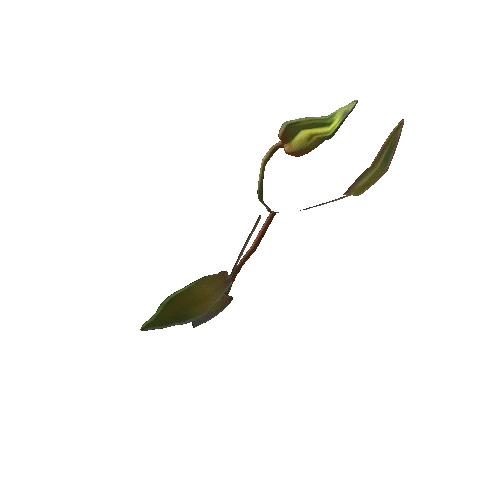 leaf_02_04