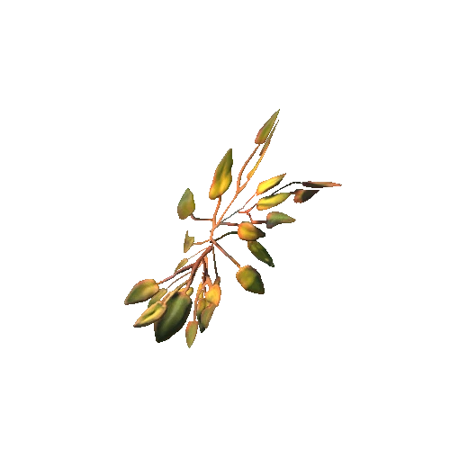 leaf_02_11