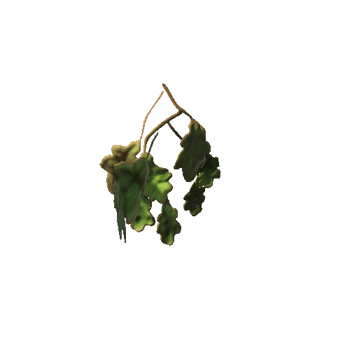 oak_leaf_05