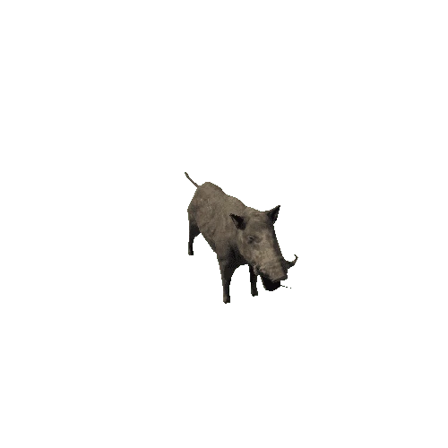 boar_sv_ip_mx_SLP_dirt