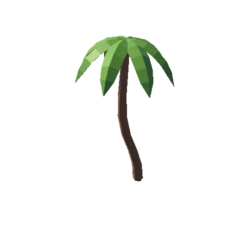 SPW_Natures_Tree_Palm_03