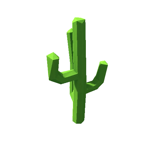 Cactus_12