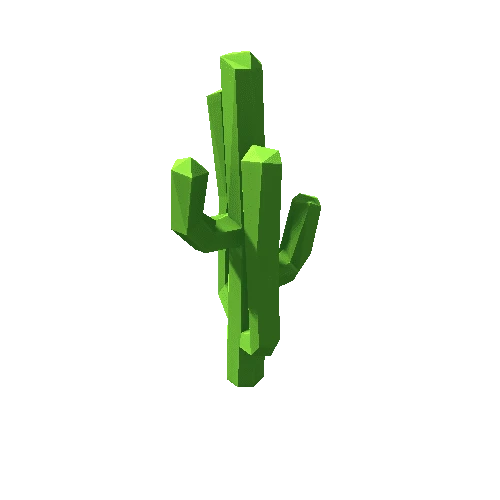 Cactus_13