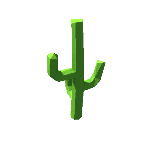 Cactus_14