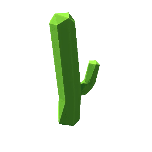 Cactus_17