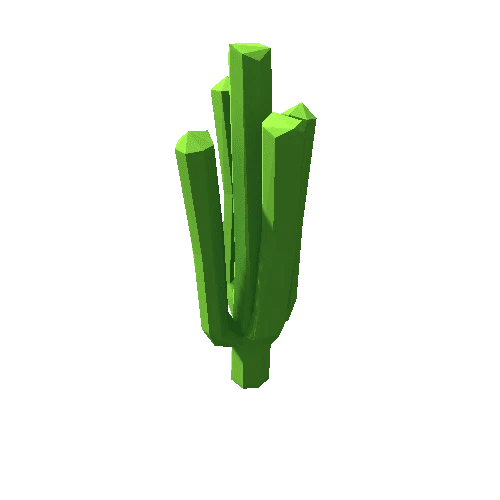 Cactus_19