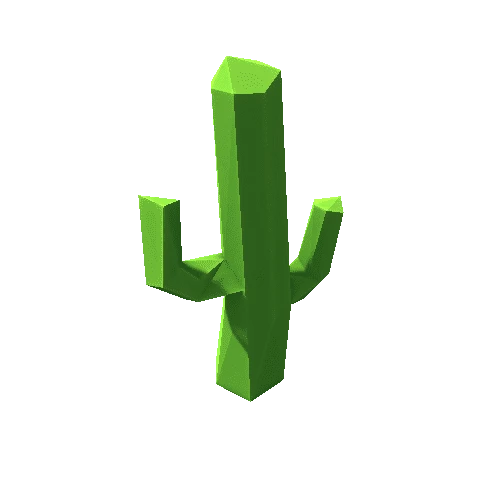 Cactus_20