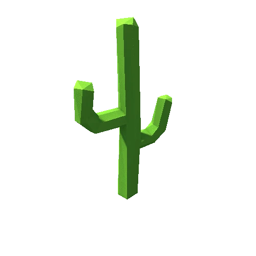 Cactus_21