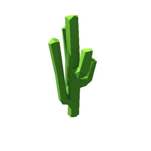 Cactus_22