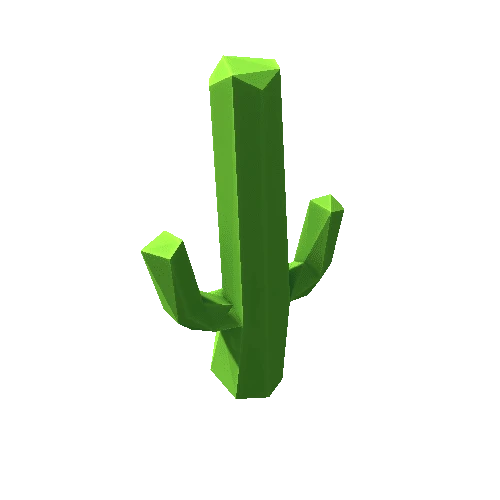 Cactus_23