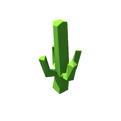 Cactus_24