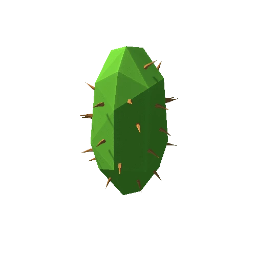 Cactus_25
