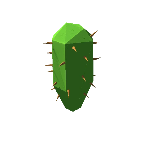 Cactus_26