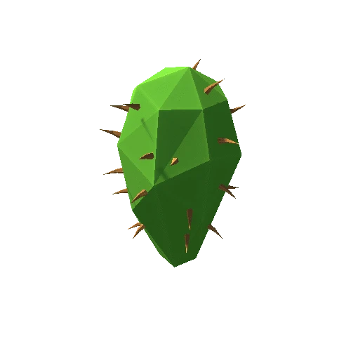 Cactus_27