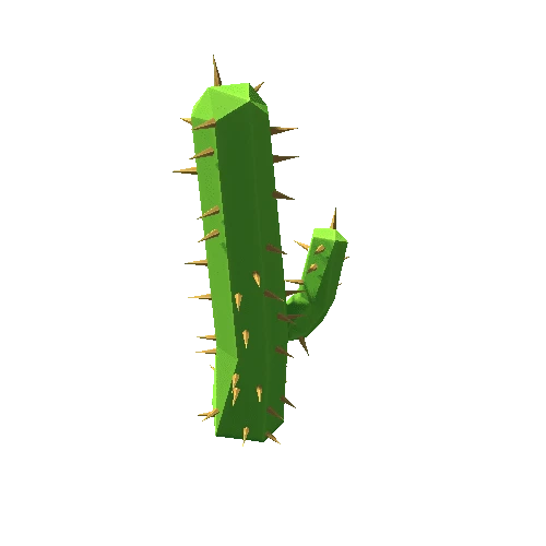 Cactus_28