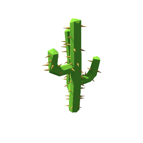 Cactus_29