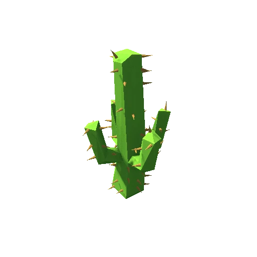 Cactus_3