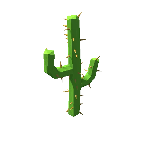 Cactus_32