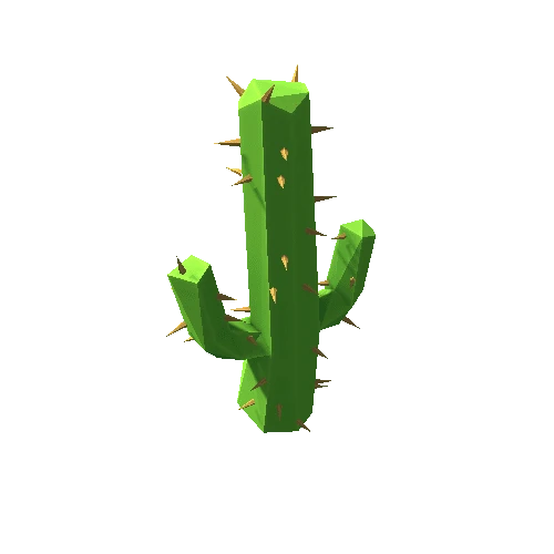 Cactus_33