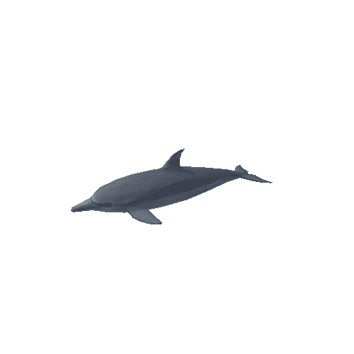 Dolphin