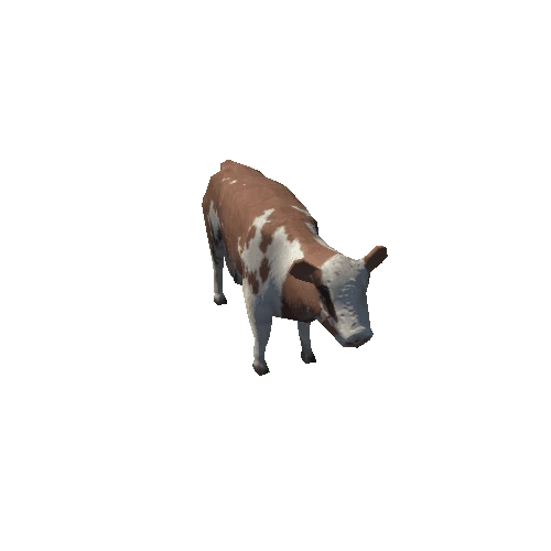 cow01