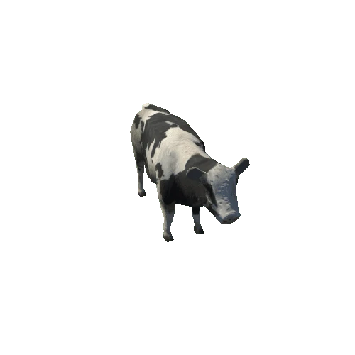 cow02