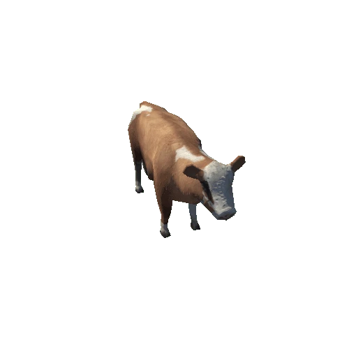 cow03