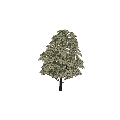 tree02