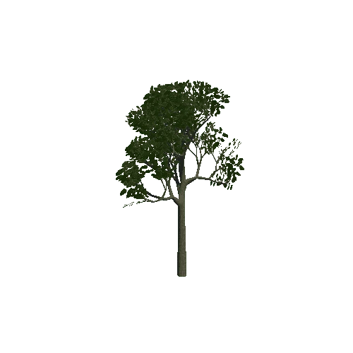 tree04