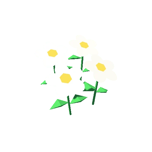 Flowers_White